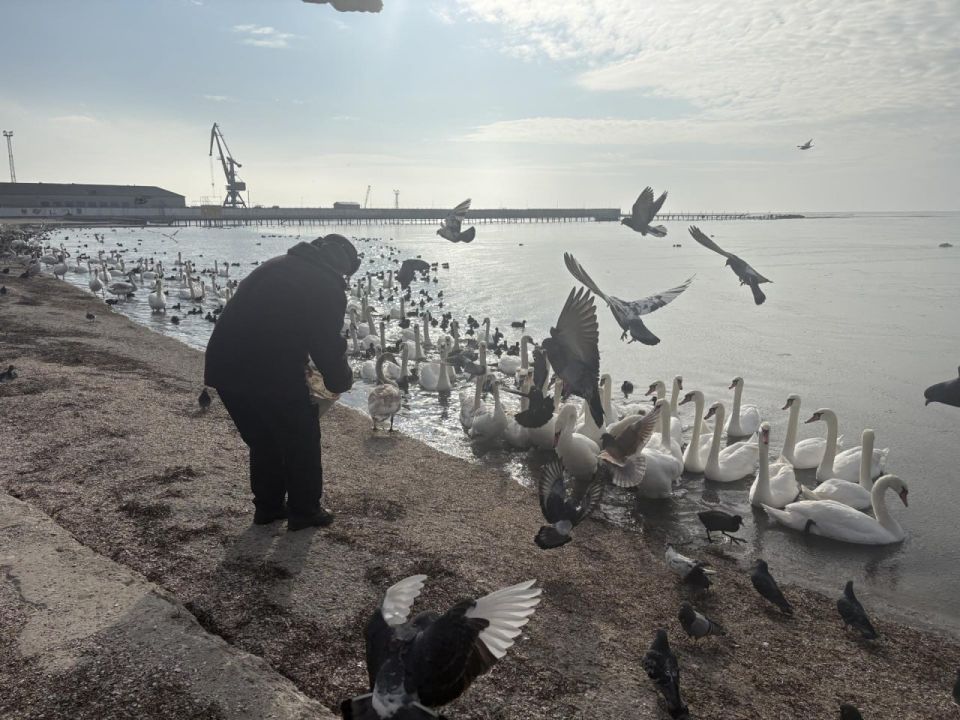 � ��������� ���������� �������� ������������� ����