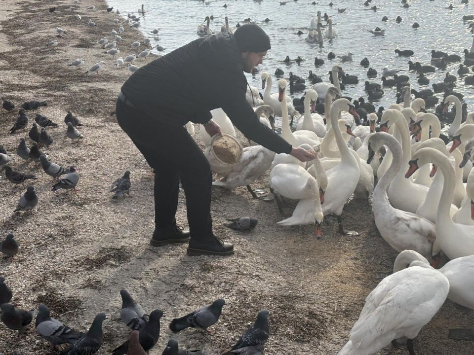 � ��������� ���������� �������� ������������� ����