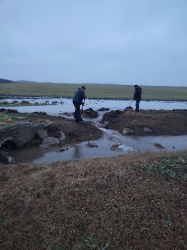 ����������� ������������ �� ����������� � ���� ��������