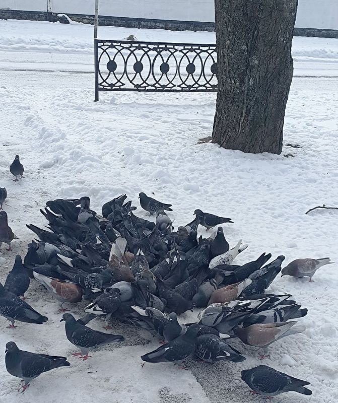 Доброе утро, любимый Каховский округ!