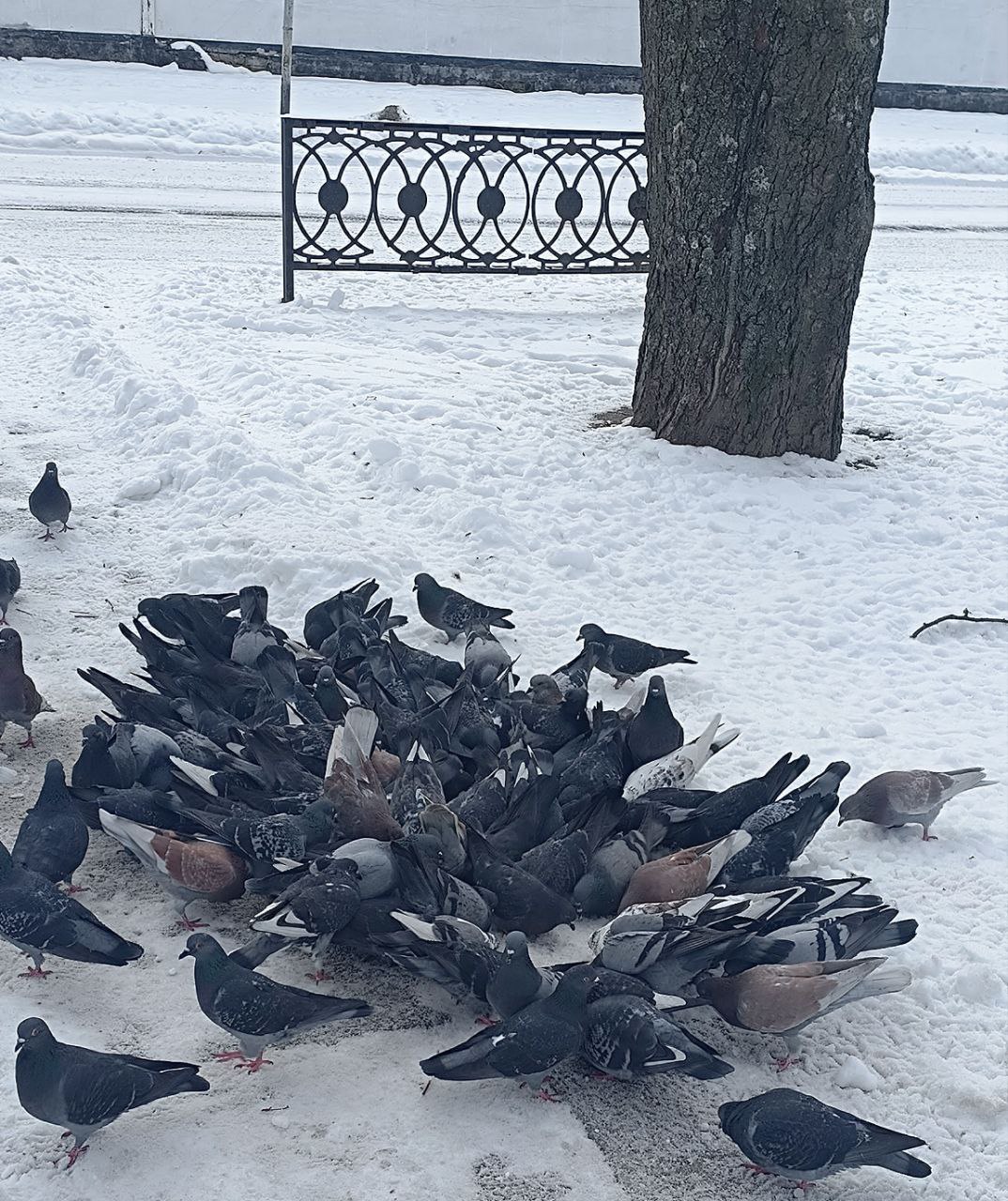 Доброе утро, любимый Каховский округ!