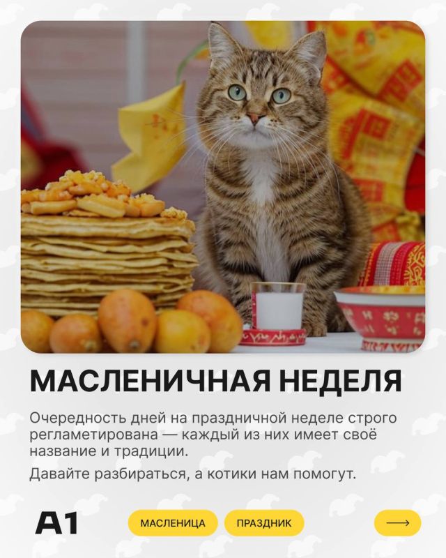 ��������� ������� �������� ������� ���������! ����������� ������!