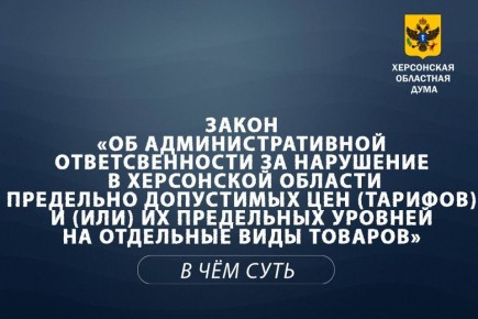 Объясняем суть за 1 минуту: ответственность за завышение цен в Херсонской области