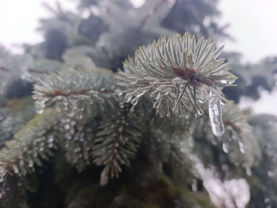 Вниманию жителей и гостей Генического округа!