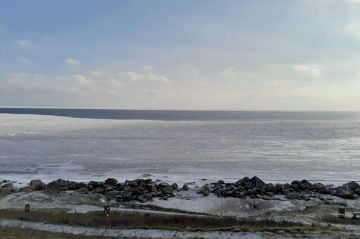 17 ������� � ���������� ������� ������������ ����������� � ������ ����