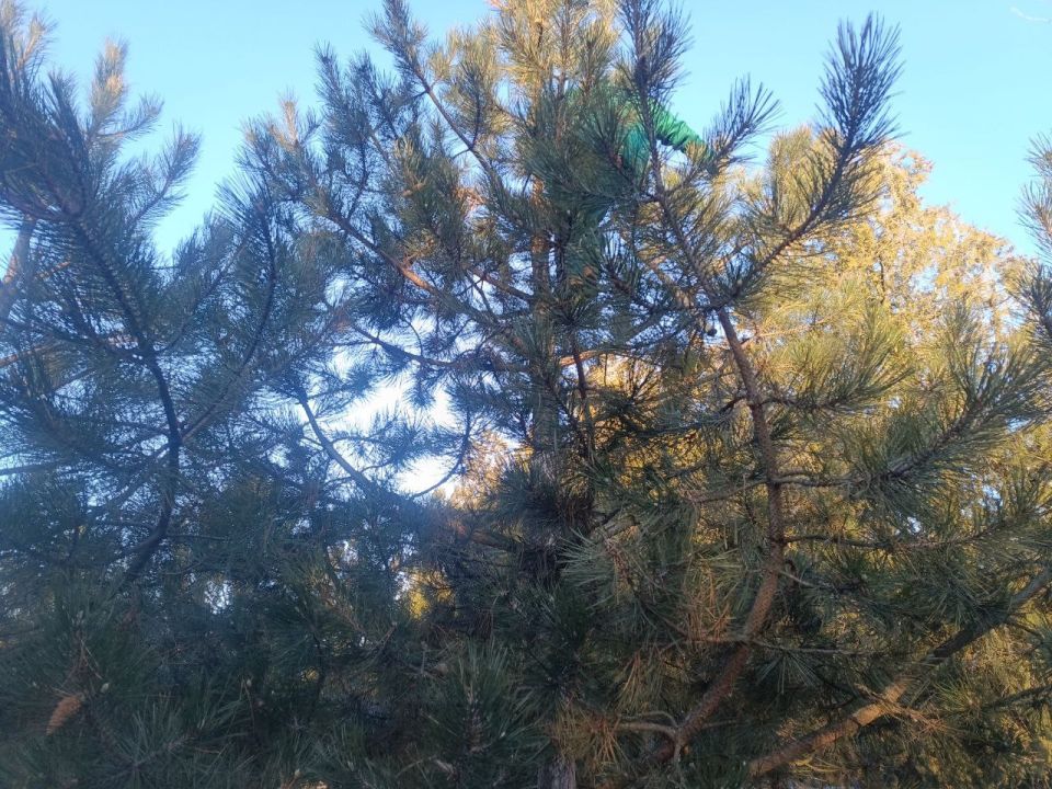 ���������� ������ ���������� � ��������� ����� ����� ��������