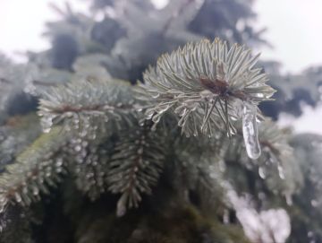 �������� ������� � ������ ����������� ������!