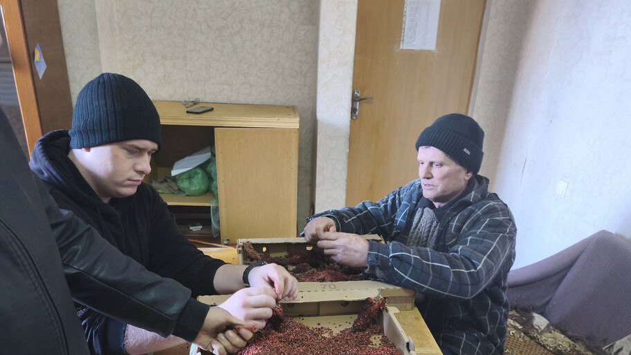 Новотроицкий лесхоз завершил переработку семян сумаха