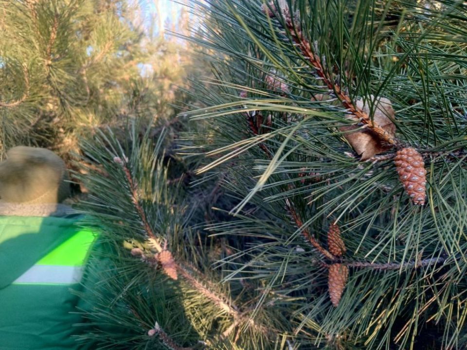 � ���������� ������� ������ ���� ����� ����� �������� ��� �������������� �����