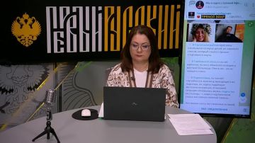 “Есть масса стран, где живут по шариату, приезжай в Кабул, заматывай жену в никаб и ходи молись на каждом шагу”