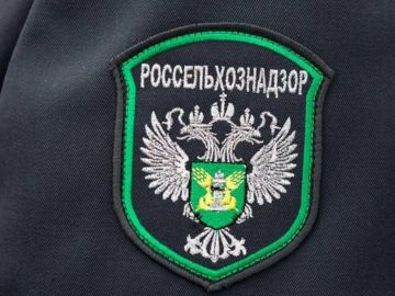 ������ ��� ������� �������� �������� ������ � ���� �� ���������� �������