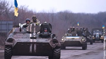 ���� �� �������: ������� 2015 ����, ����������