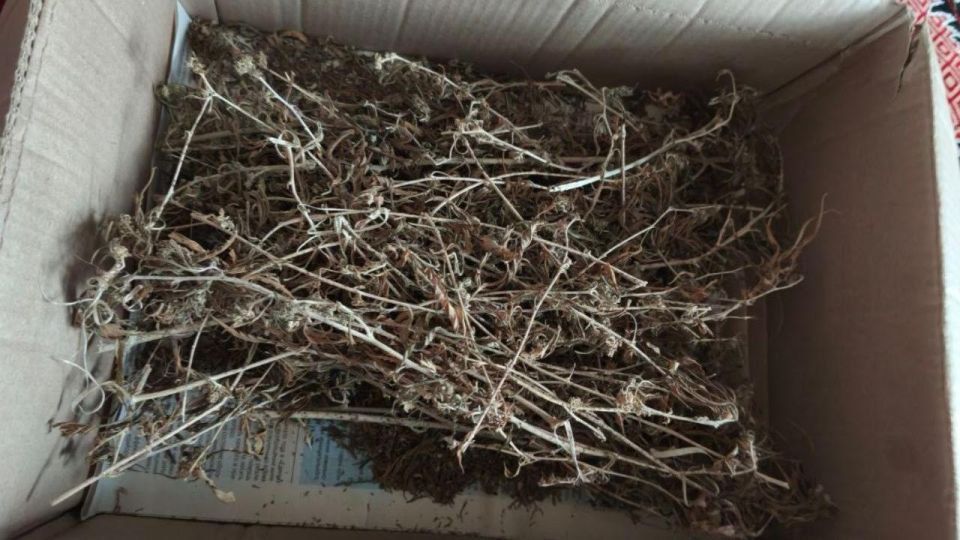 ���������� ������������� �� �������� �� �������� ���������� ������ ��� ������ �������������� ��������� 48-������� ������ ������ �������� � ���������� ������� �� ���������� � ���������� �������� ������������� �������...