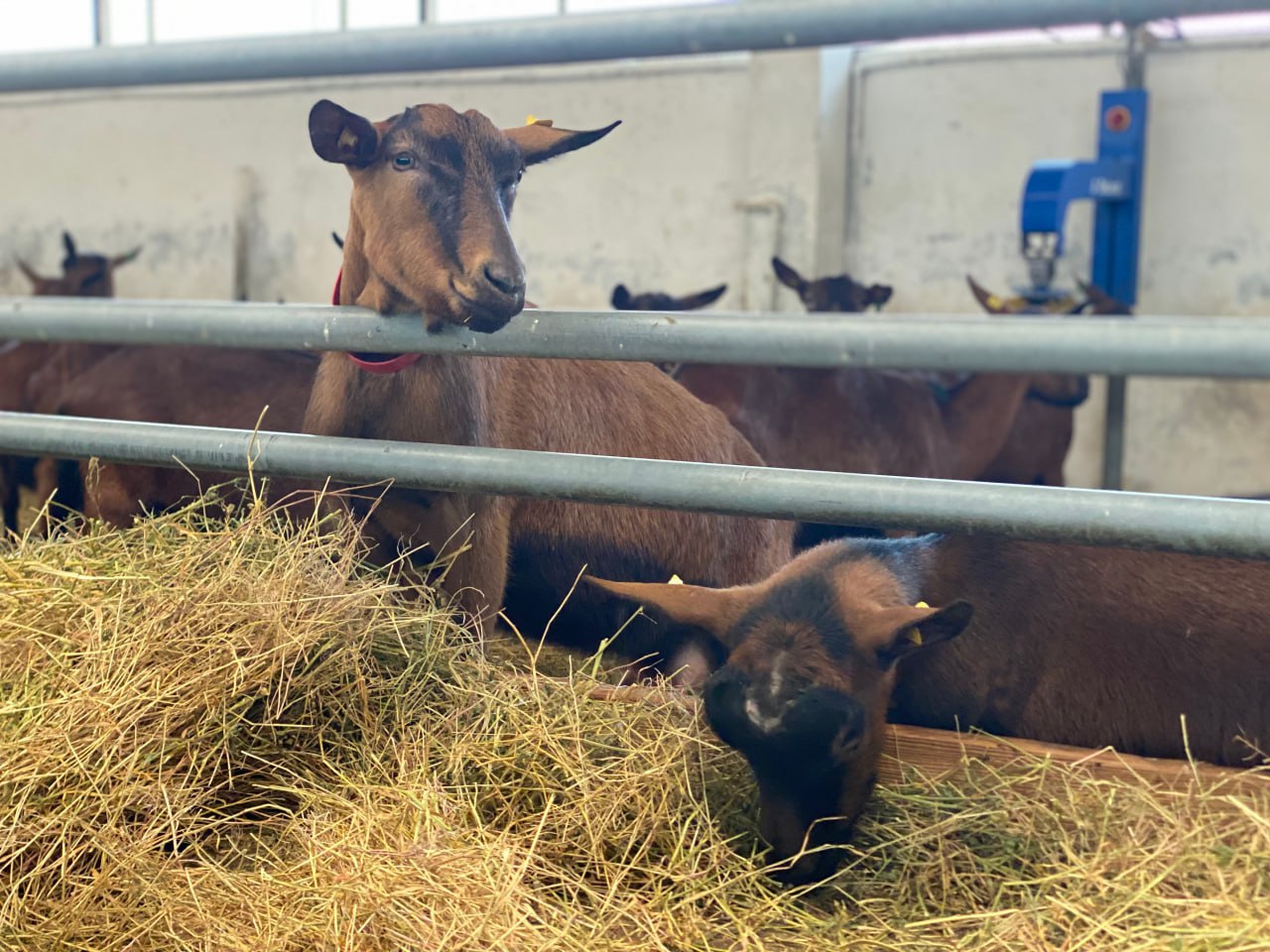 Партклуб прошел на базе регионального холдинга «Агробизнес», входящего в свободную экономическую зону, создание которых поддержала Единая Россия