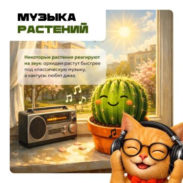 ���������� ����������!. ��� ����� ����������� � ������������ ��������: ��������, ������� ����� ������, ����������� ���, ����������� ������ � ����� �������, ������������ �����