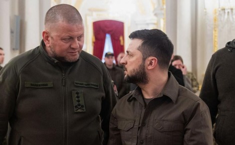 Банка с пауками взрывается!