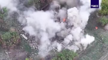 ����� ������������ ����������� � ����������� �������