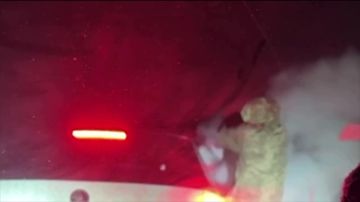 ���� �� �������: ������� ��� ���������� �� ���������� �����������