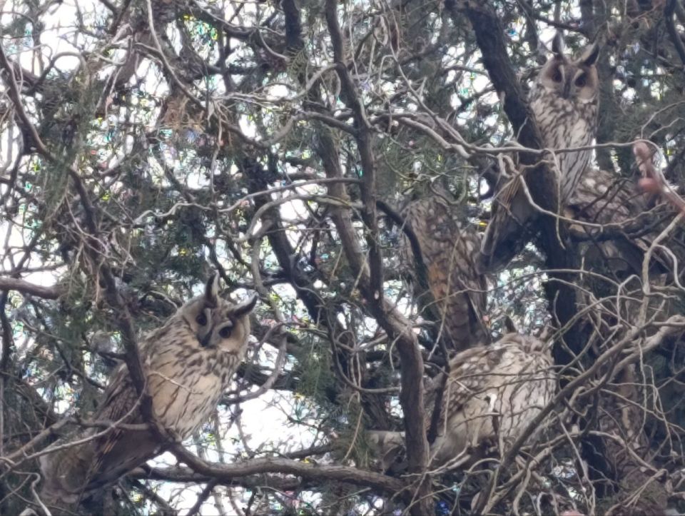 ���� ��������: ������ ����, ������ � ����� ����������� ������!