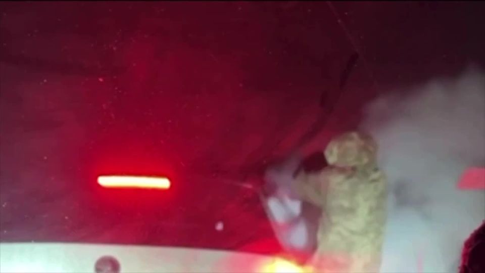 ���� �� �������: ������� ��� ���������� �� ���������� �����������