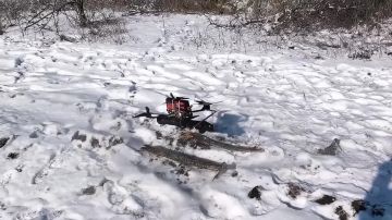 ������������� ��� ��� ������ ��������� � �������� ���������� ������������� �������� ���������� ��������� ����� � � ������ �. ������� ����������� �������