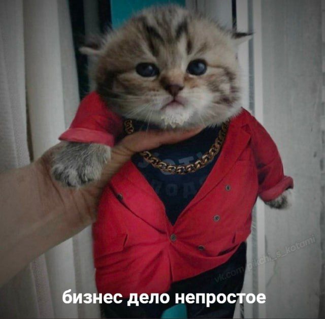 ������� ������ ������: ��������� ���������� ������� �� ����������� ����� 3 ��������