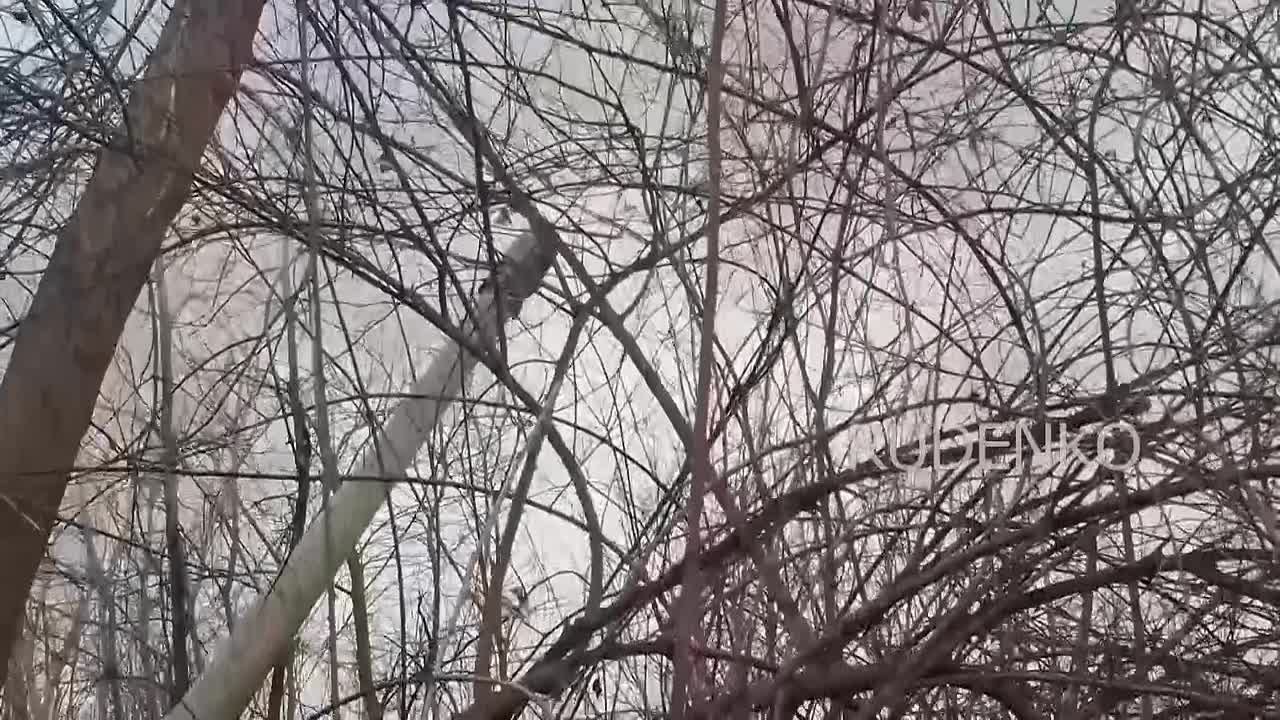 Андрей Руденко: Расчёт САУ «Гиацинт-С» группировки войск «Днепр» уничтожил орудие Д-30 и укрепленные позиции ВСУ с личным составом на правом берегу Днепра в Херсонской области