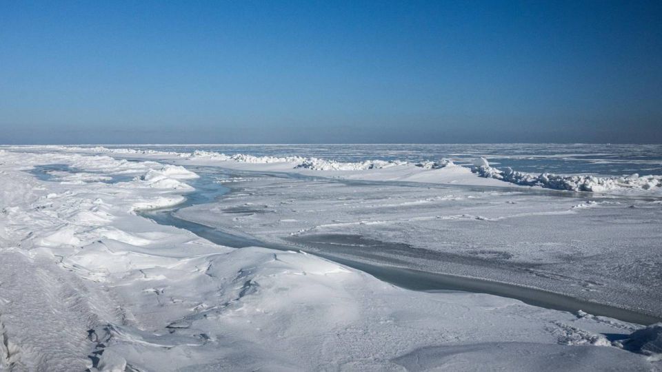 ������ ����, ����������!. �� ����������� ����� �������, ��������