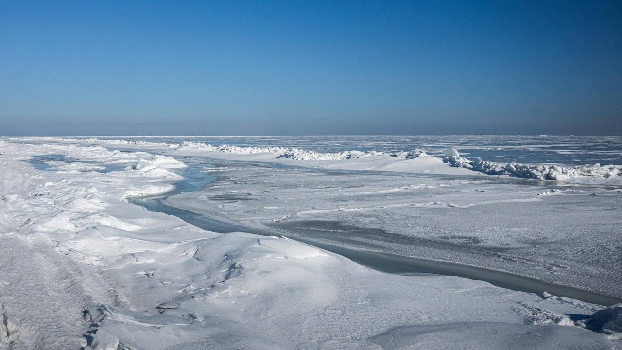 Доброе утро, Херсонщина!. На Таврической земле взращён, взлелеян