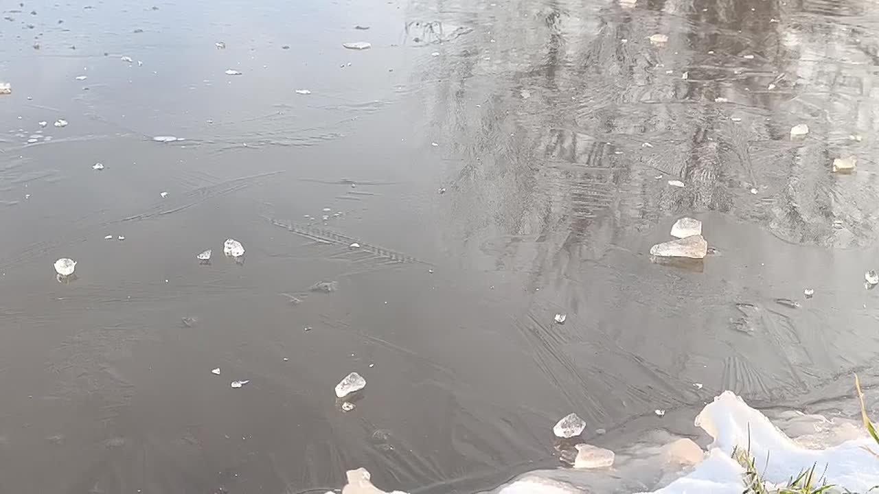 Доброе воскресное утро!. Именно воскресенье позволяет нам взглянуть на жизнь по-другому, это не суббота, когда надо всё успеть переделать по дому, приготовить еду и погулять