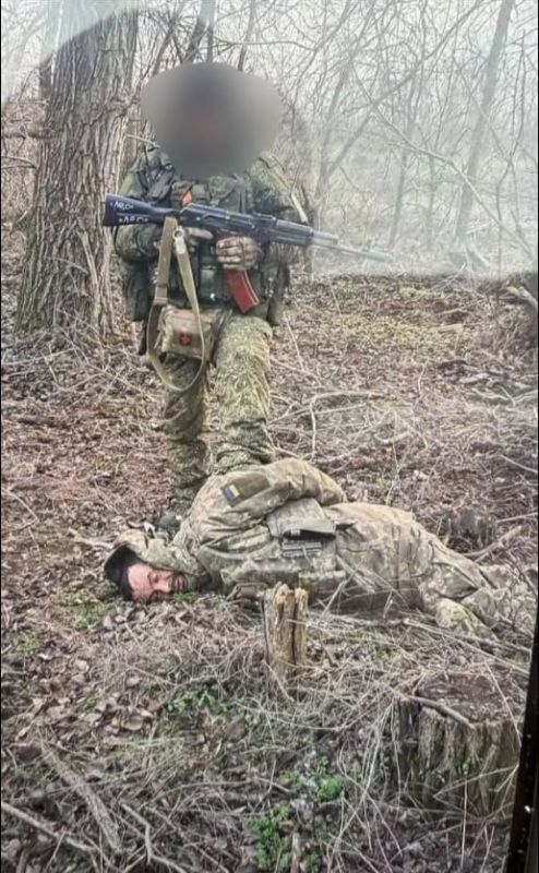 ������. ��������-����� ���������� �������