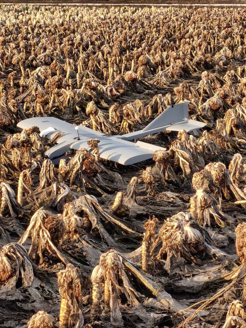 Руслан Хоменко: За минувшие 7 суток враг нанёс не менее 794 ударов по Алешкинскому округу