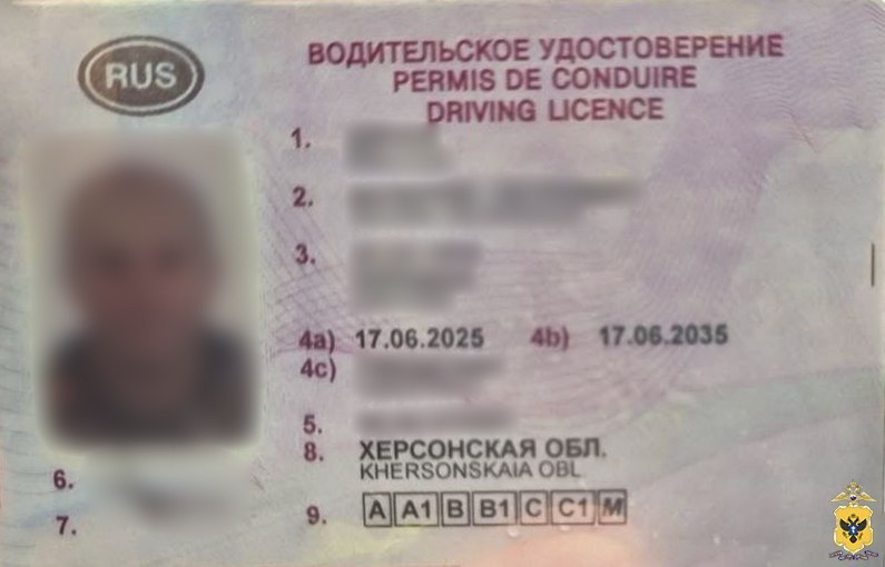 Житель Чаплинского округа заплатил мошенникам за фальшивые водительские права и попал под уголовное дело