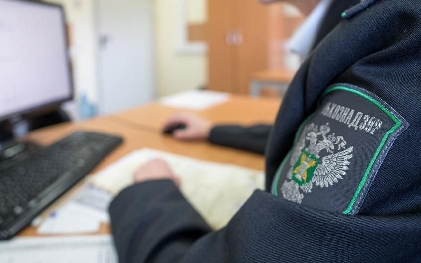 ������������������ �������� ����������������� 35 ���������� �� �������� ��������� ���������� ��������