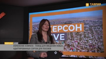Сельхозпроизводители Херсонщины переходят на использование адаптированных сортов культур, сообщила Алиме Зарединова