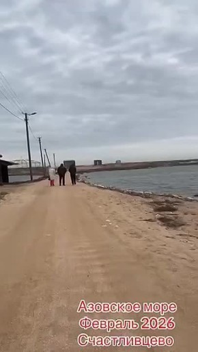 Азовское спокойствие. Счастливцево зимой — это особая эстетика