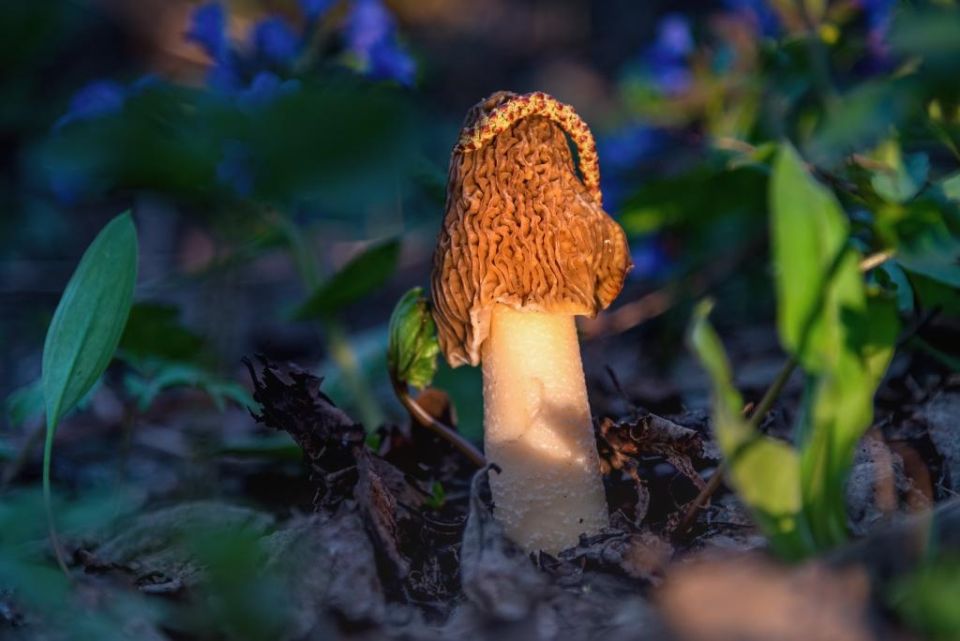 ��������� ������� ����� � ������� ������ �������� � ������