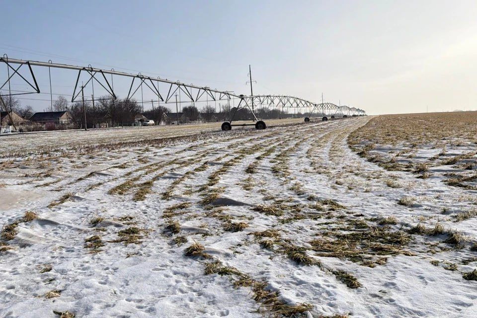 ���� ��������� � ������� ������: ���������� ������� ��������� ������� ������ ������ �������������