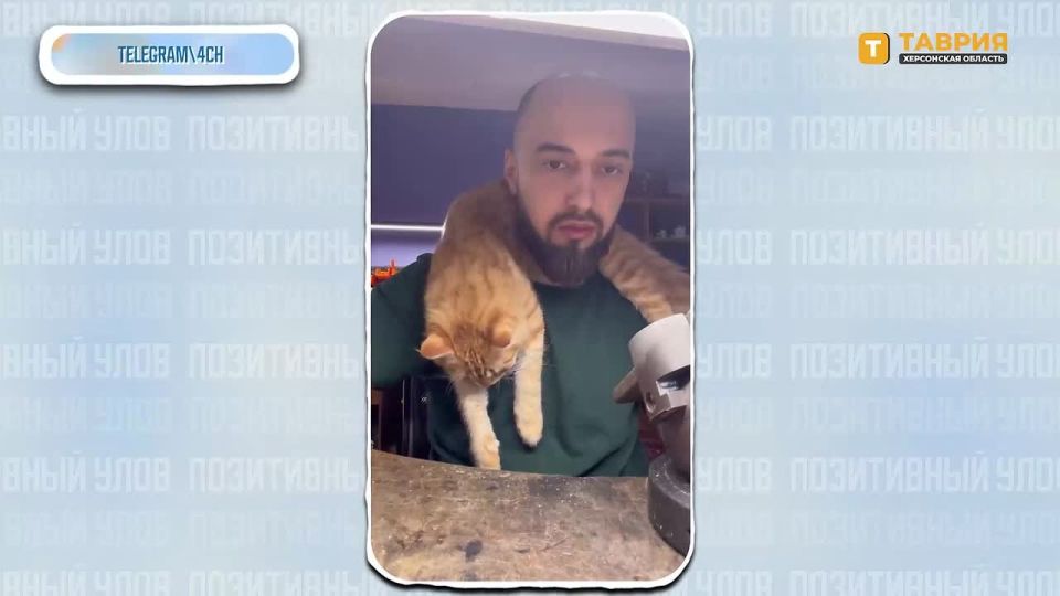 "���������� ����" � �������� ������������ �������� �� ����� ����