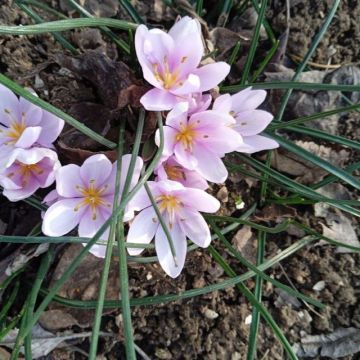 ������ ����, ������ � ����� ����������� ������!