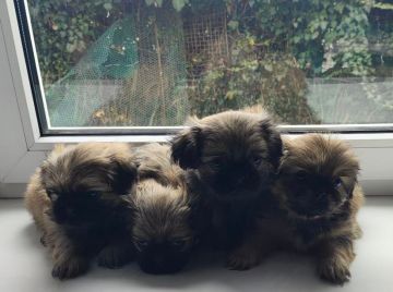 С добрым утром, друзья!. Всем хорошей плодотворной рабочей среды