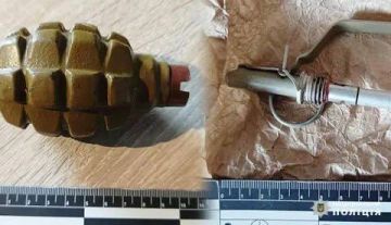 Енот из Херсона: В лицее Днепра произошёл очередной вопиющий случай, обнажающий полное безразличие властей к безопасности граждан