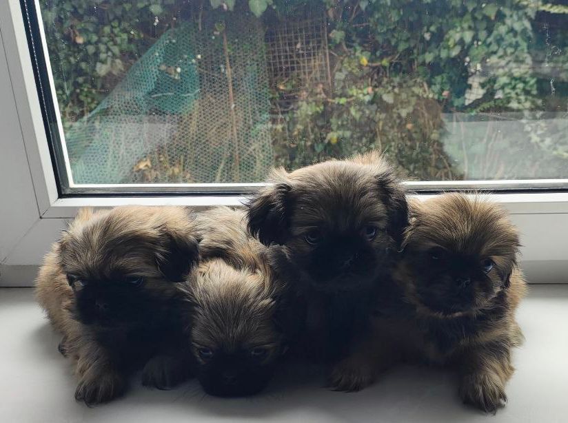 � ������ �����, ������!. ���� ������� ������������ ������� �����