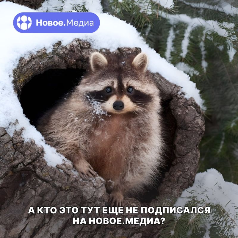 ���� �� �������: �� ������ �������� � ���� �������