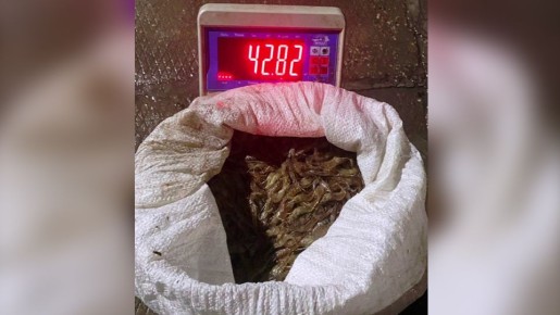 ������������ ������� ���������� ������� ��������� ��� ����������� � ������ �������� �� 32,5 ��� ������