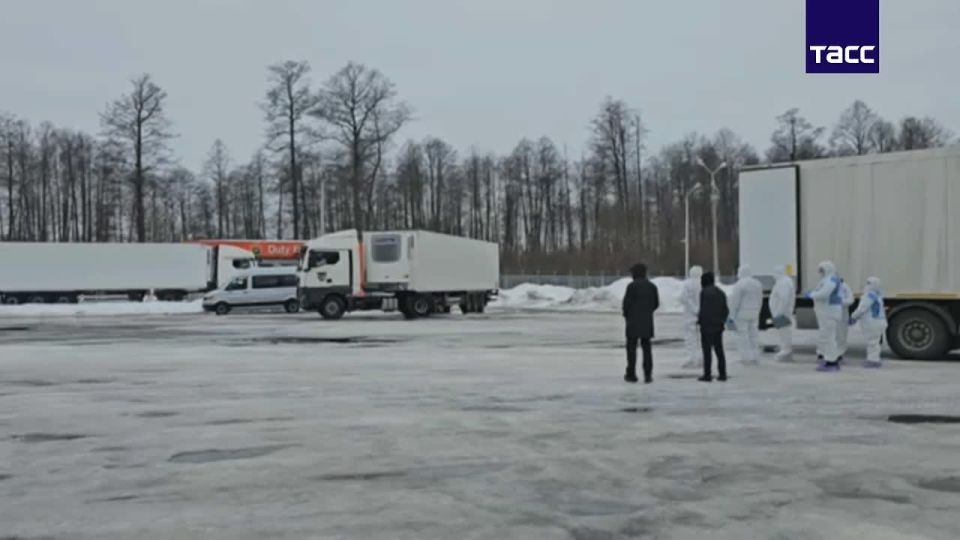 ����� ������: ������ �������� ������� 1000 �������� ���������� �������