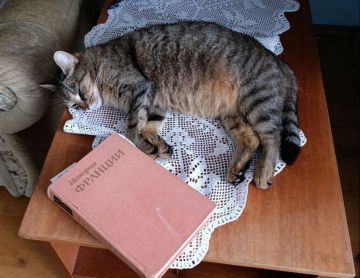 Начиталась истории Франции и спит