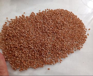 ����� 991 ������ �� �������� ����� ����� ������� � ���������� ������� � 2026 ���� � ���������������