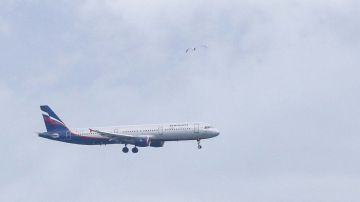 �� �������� ����������� �������� ������� �� ���������� ���������� ���