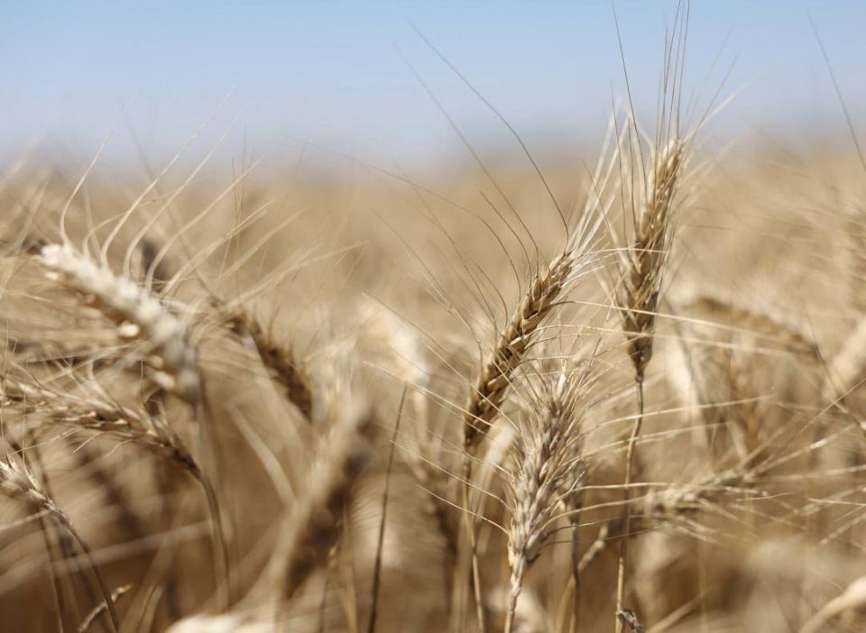 ������ ����� � ���������� �������� 3,7 ��� ���� � 2025 ���� ��� �������������� ��������� � 4,5 ��� ����